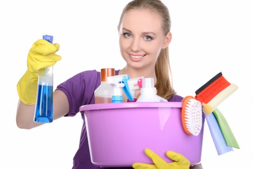 Professional pet stain and odour treatment for upholstery